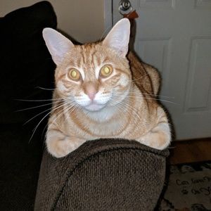 Meet your Posher, Barbara